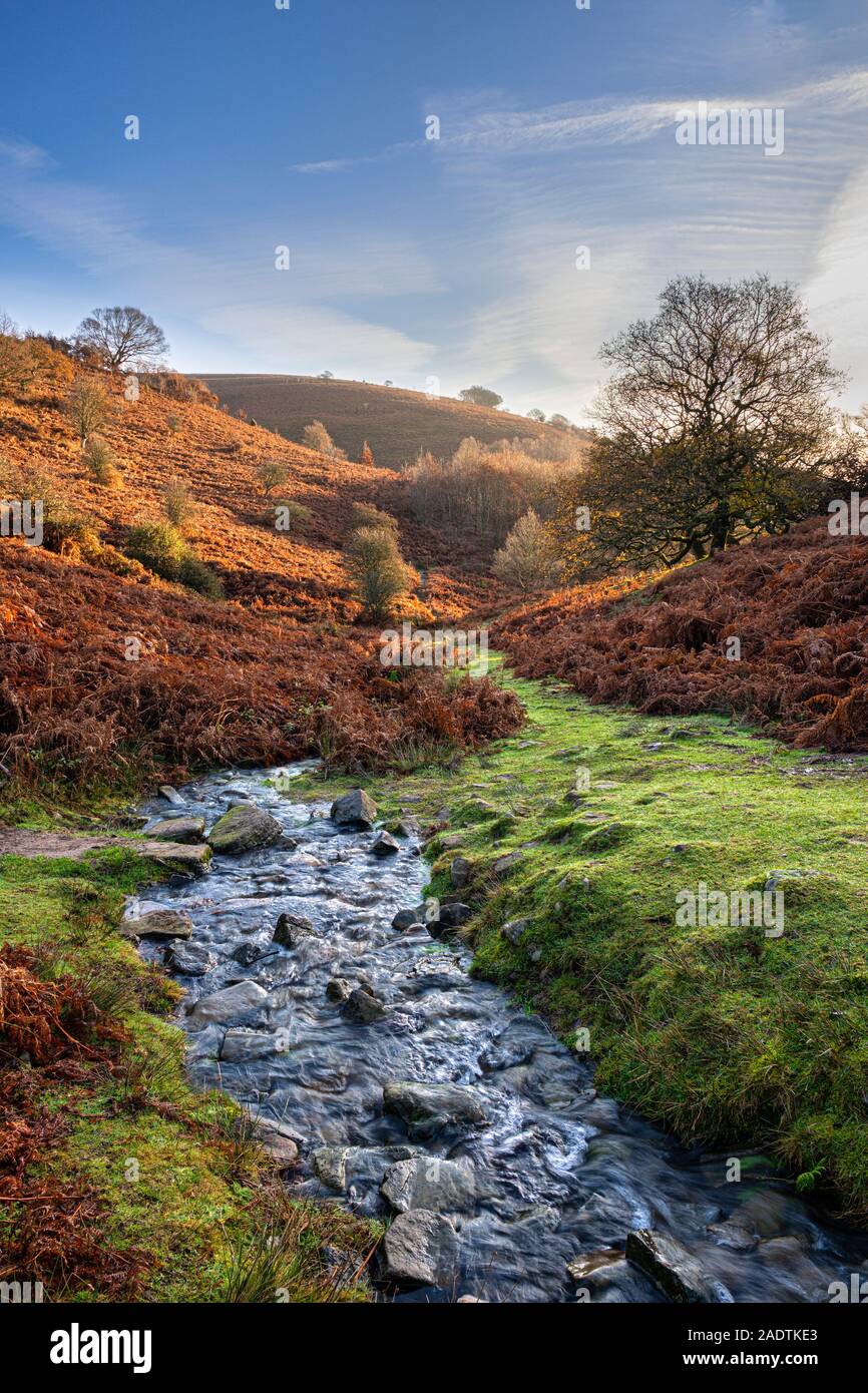 Rocky stream on the Sugar loaf in the Black Mountains, Wales. Stock Photo