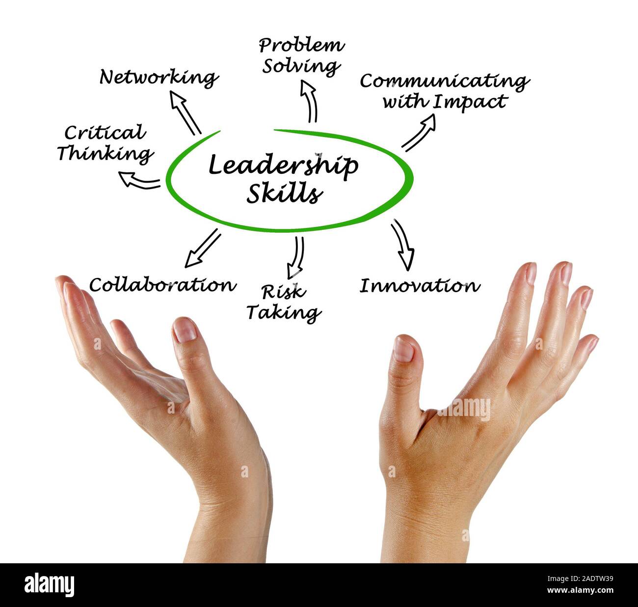 Diagram Of Leadership Skills Stock Photo Alamy diagram-of-leadership-skills-stock-photo-alamy