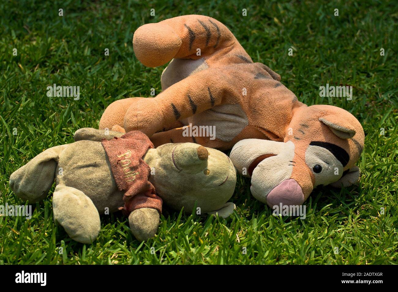 Old soft toys now loved by the labrador. Stock Photo