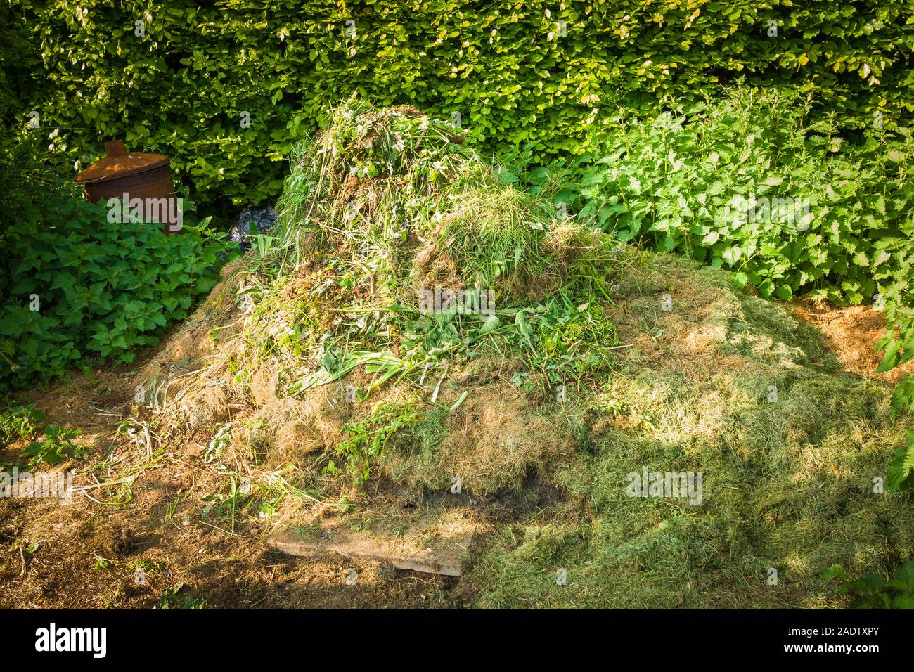 A pile of accumulating green garden waste at the start of a routine composting programme in an English garden Stock Photo