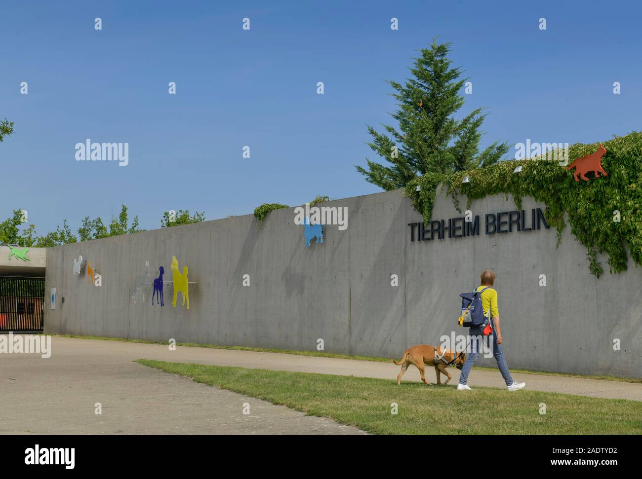 Tierheim, Hausvaterweg, Falkenberg, Lichtenberg, Berlin, Deutschland Stock Photo