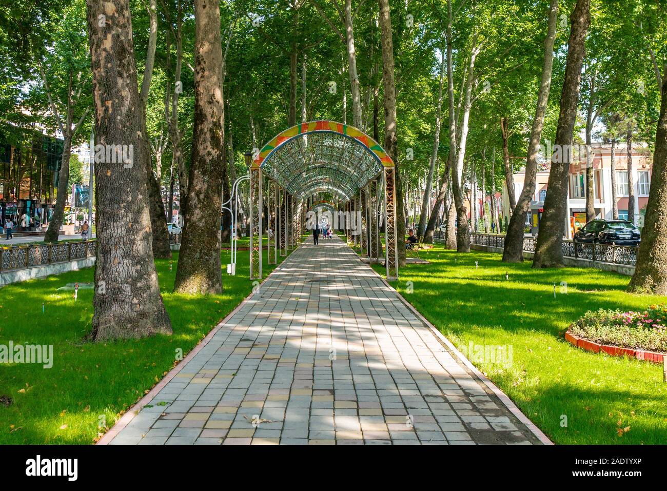 Dushanbe Rudaki Avenue Picturesque Breathtaking View of an Alley Walkway for Pedestrians on a Sunny Blue Sky Day Stock Photo