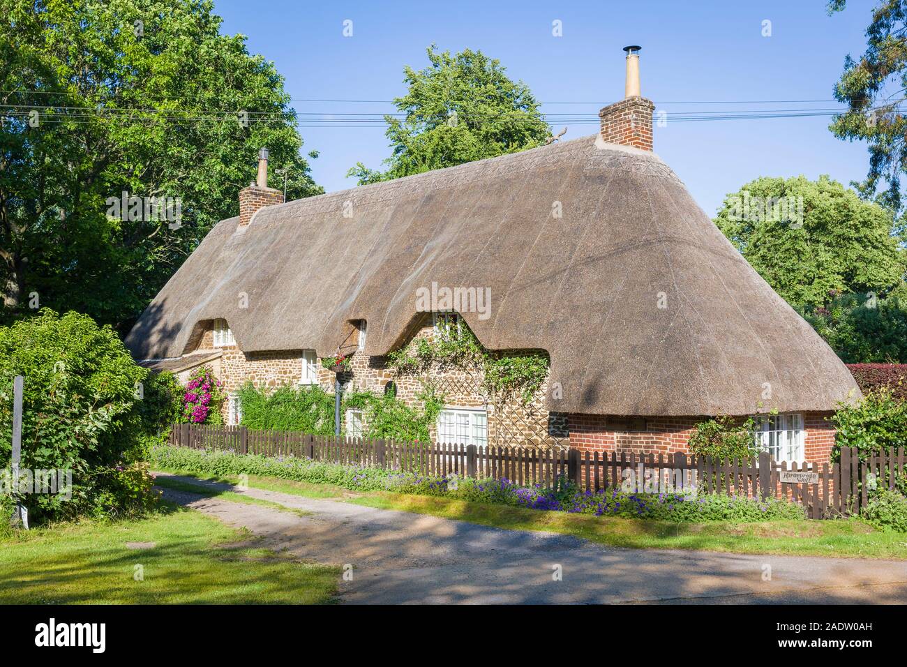 A pretty detached thatched cottage on the roadside through Sandy Lane village in the Parish of Bromham and Chittoe Wiltshire England UK Stock Photo