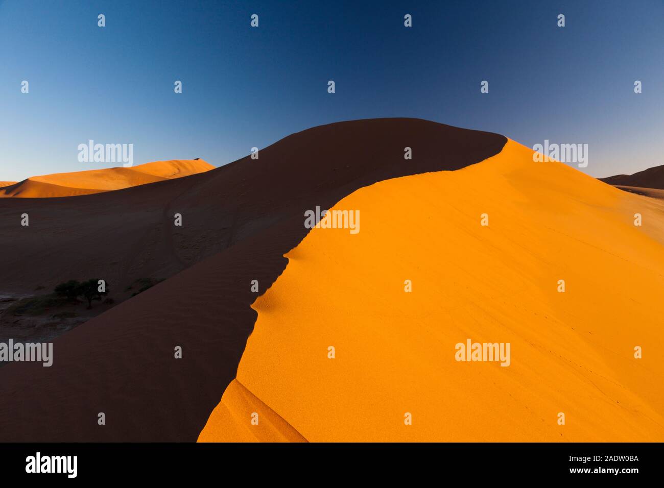 Dunes of  Sossusvlei, at morning, Namib Desert, Namib-Naukluft National Park, Namibia, Southern Africa, Africa Stock Photo
