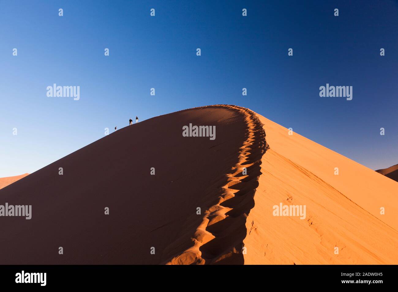Tourists climb up dune of  Sossusvlei, at morning, Namib Desert, Namib-Naukluft National Park, Namibia, Southern Africa, Africa Stock Photo