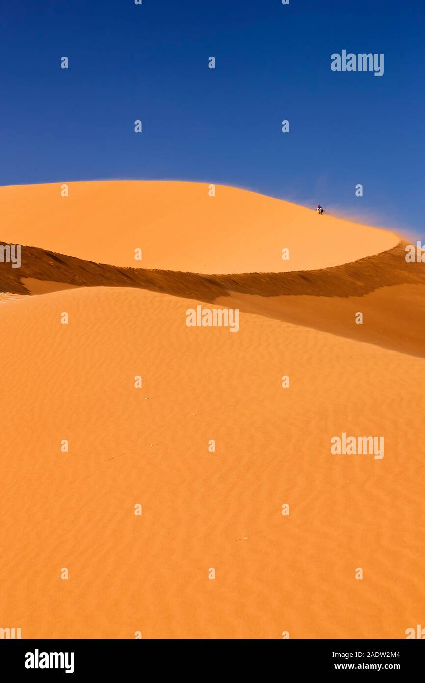 Big dune at Sossusvlei, Namib Desert, Namib Sand Sea, Namib-Naukluft ...