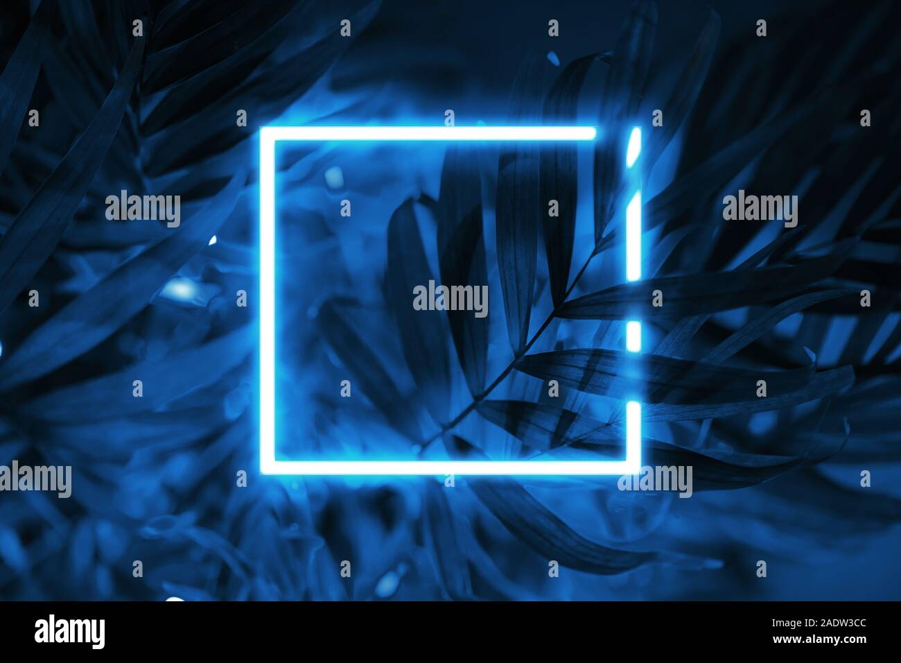 Tropical blue background neon light square frame. Stock Photo