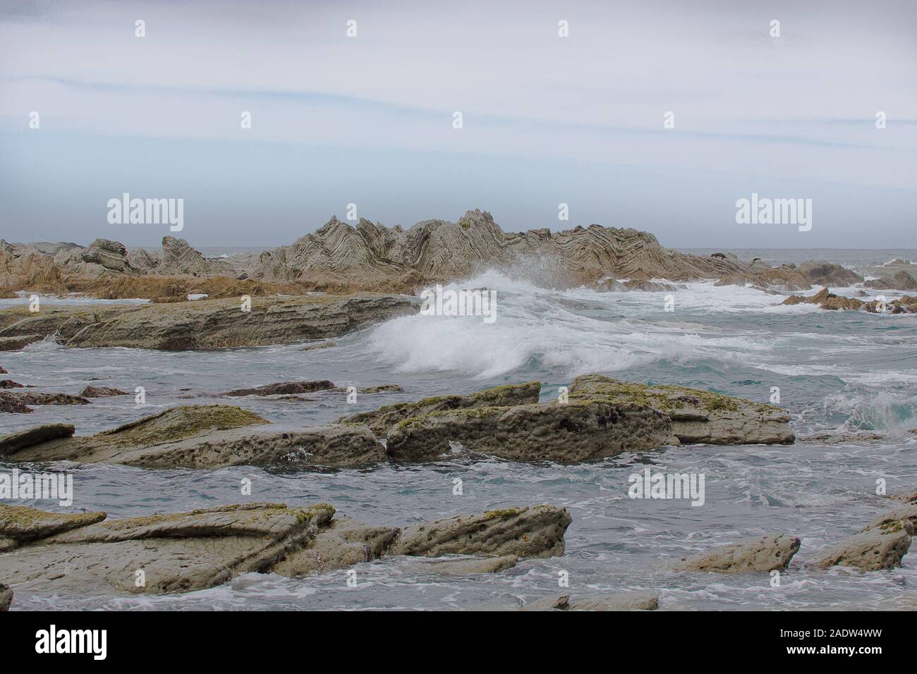 Kaikoura seascape with beautiful folded rocks and seals in the distance Stock Photo