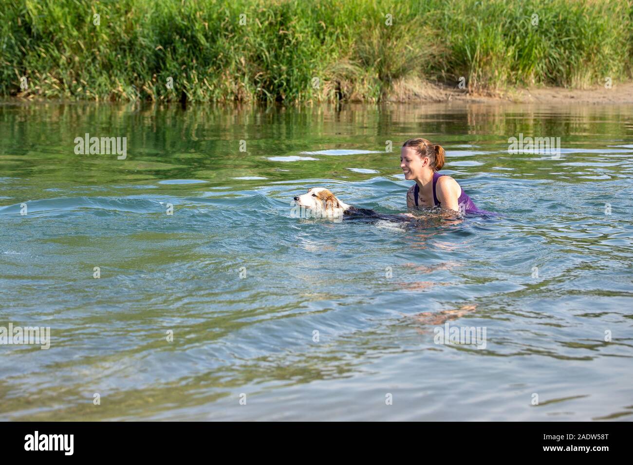 Young Woman and dog swimming into a river, learning and trainee into water Stock Photo