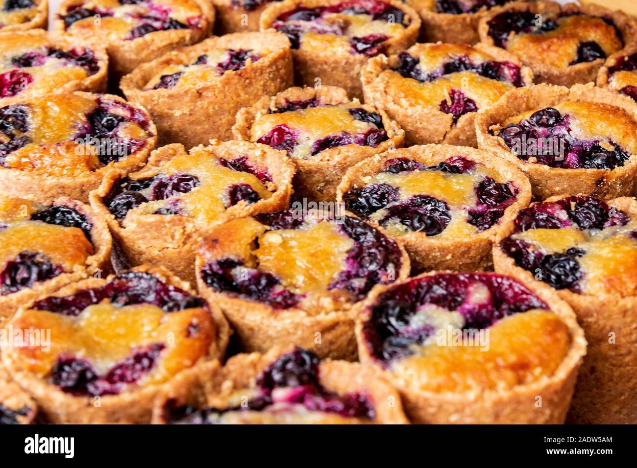 Organic tartlets of blueberries and apricots in a market of organic products. Leon, Spain Stock Photo
