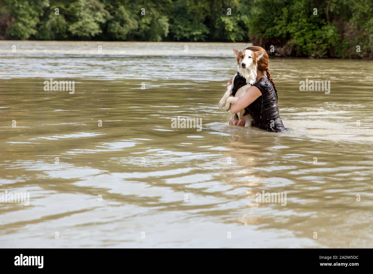 Woman standing into a river and holding her cute dog, swimming and ...