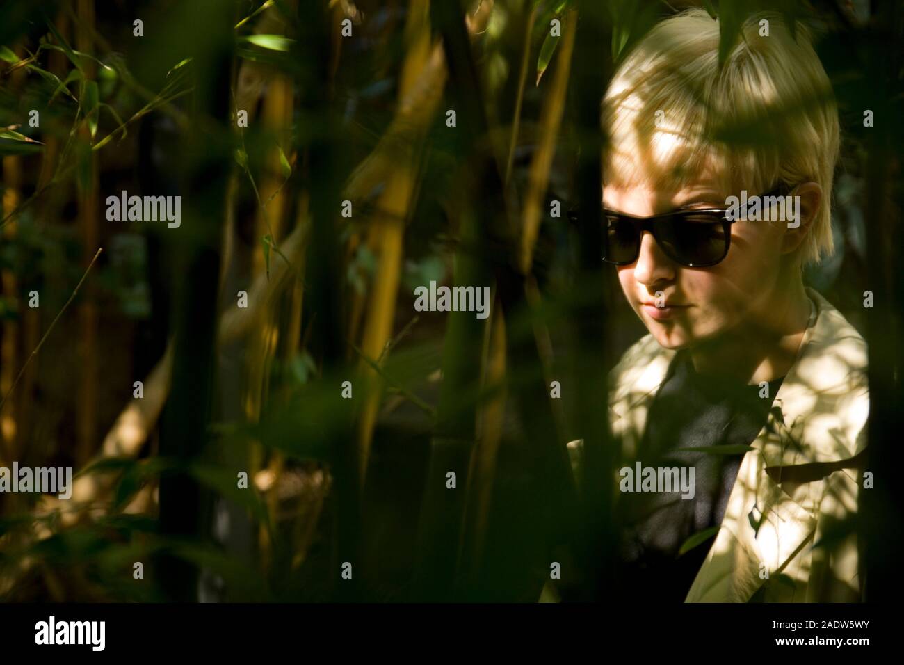 Stylish young woman, 20's, wearing 1950's style trenchcoat and sun glasses, seen through foliage Stock Photo