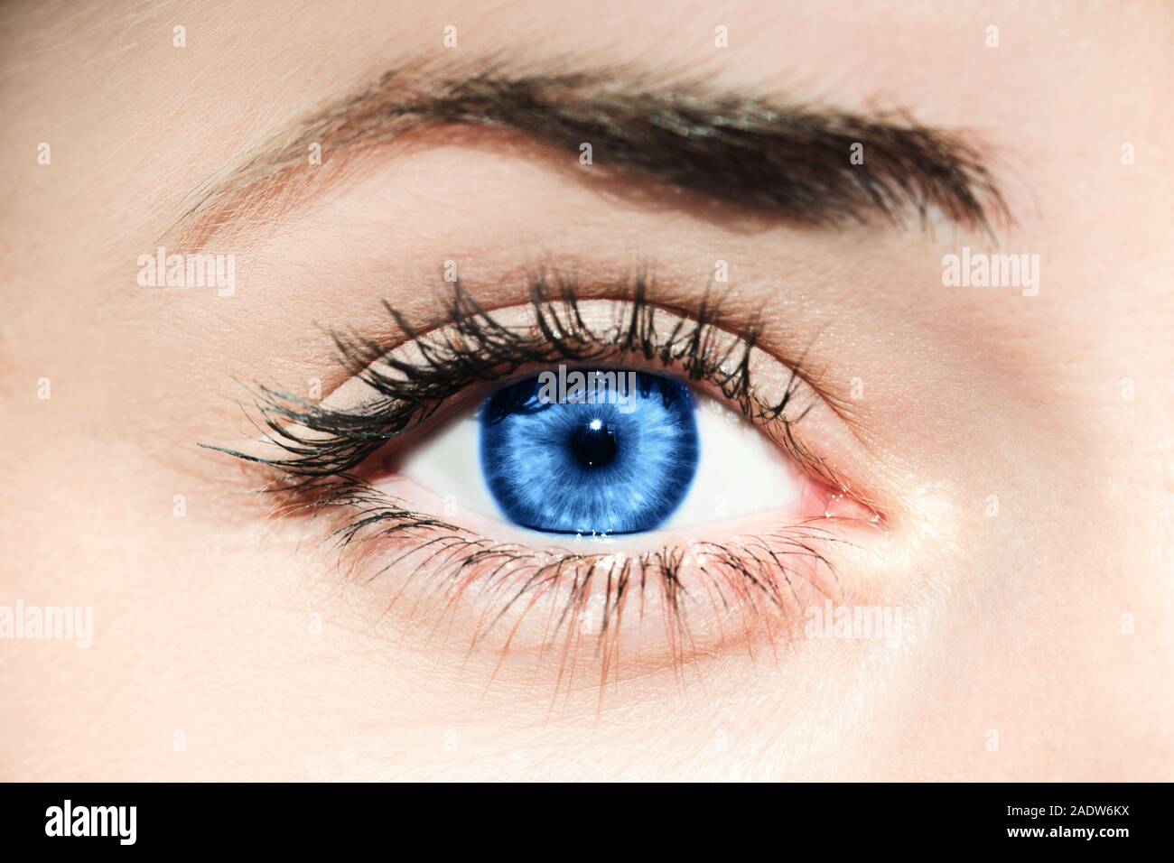 Blue eye. Inspired by color of the year 2020. Pantone. Stock Photo