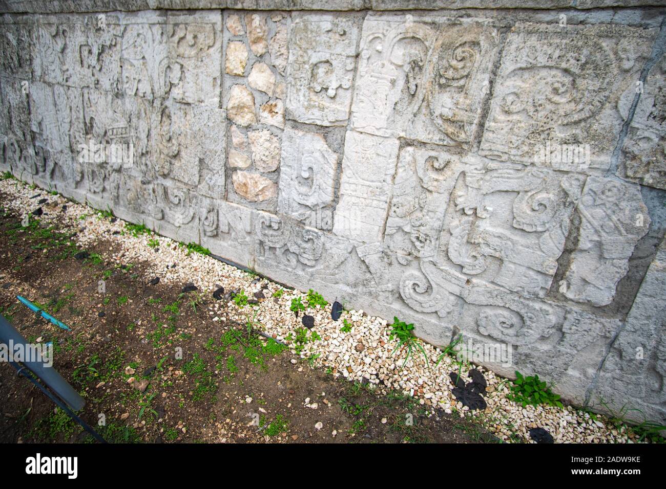 Maya Engravings in the Ruins of Chichen Itza Stock Photo - Alamy