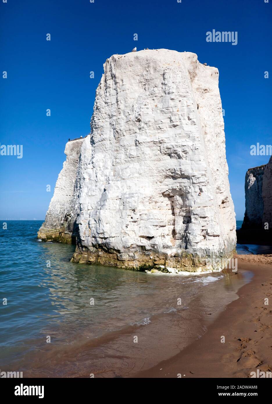 Chalk Sea stacks, at Botany Bay, Broadstairs, Kent Stock Photo