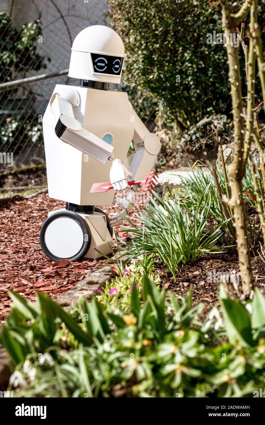 service robot is gardening with a garden tool by sunlight Stock Photo -  Alamy