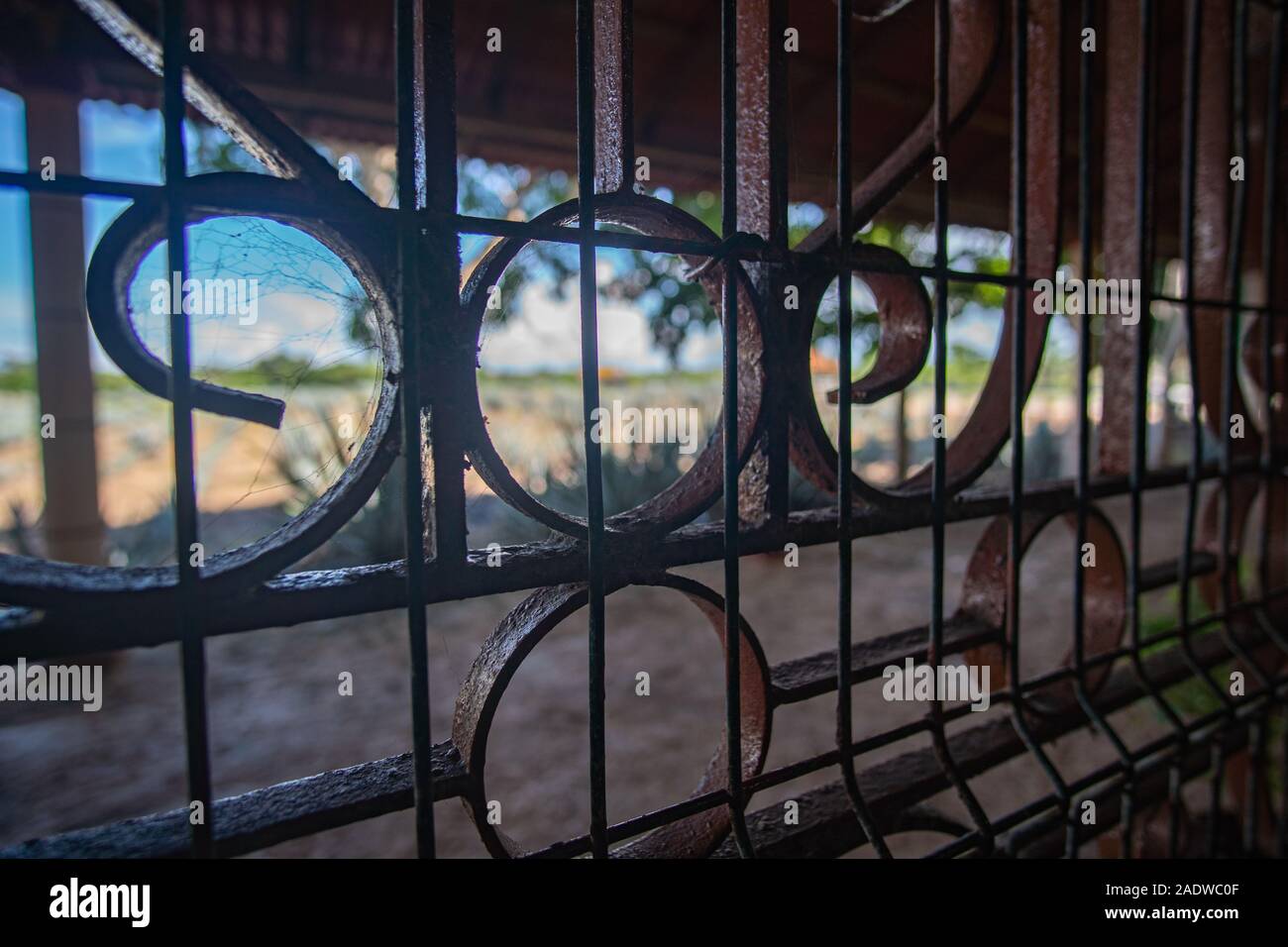 Blue Agave Fields view through Window of Tequila Distillery Stock Photo