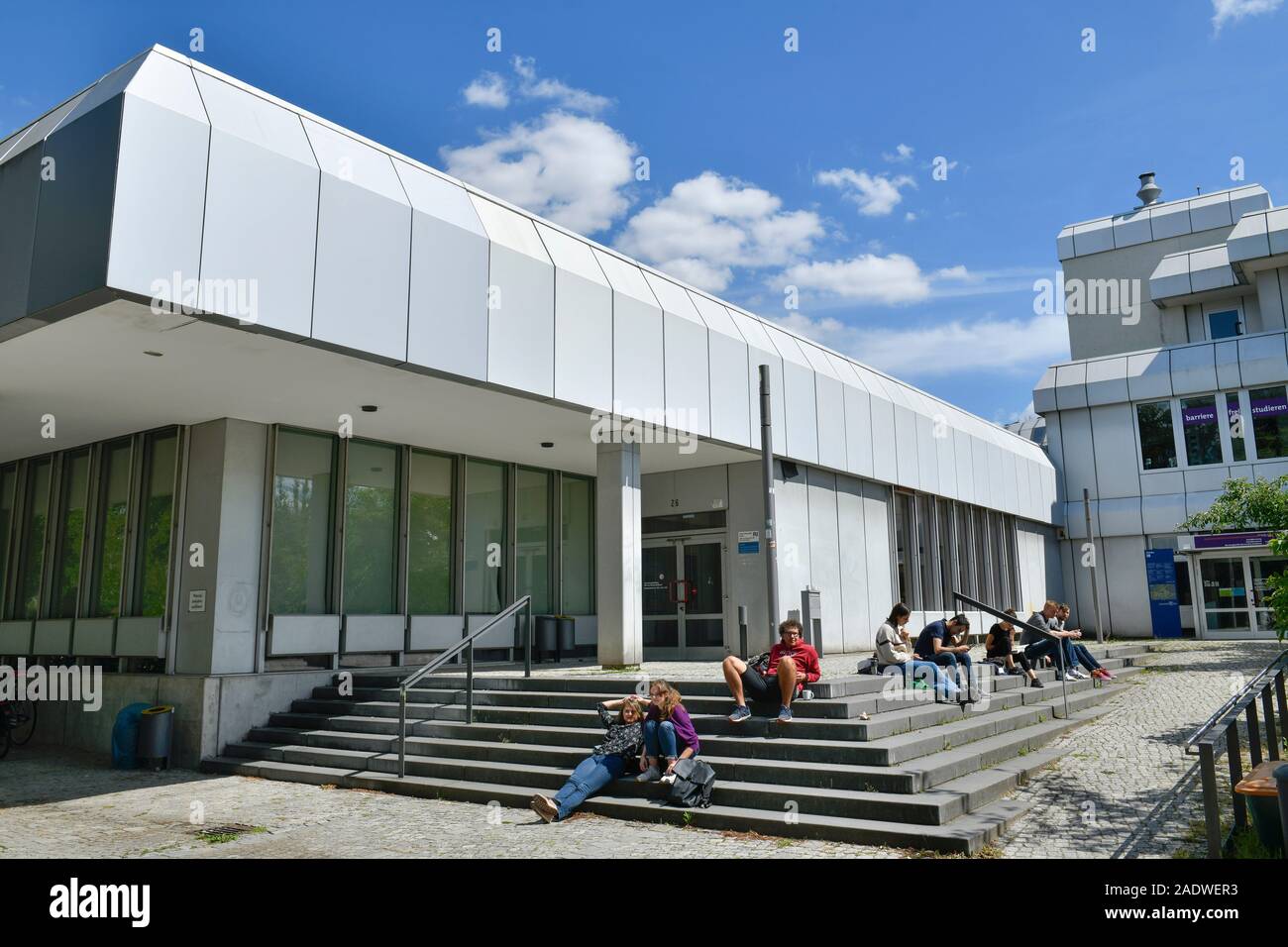 Silberlaube, Freie Universität, Habelschwerdter Allee, Dahlem, Steglitz-Zehlendorf, Berlin, Deutschland Stock Photo