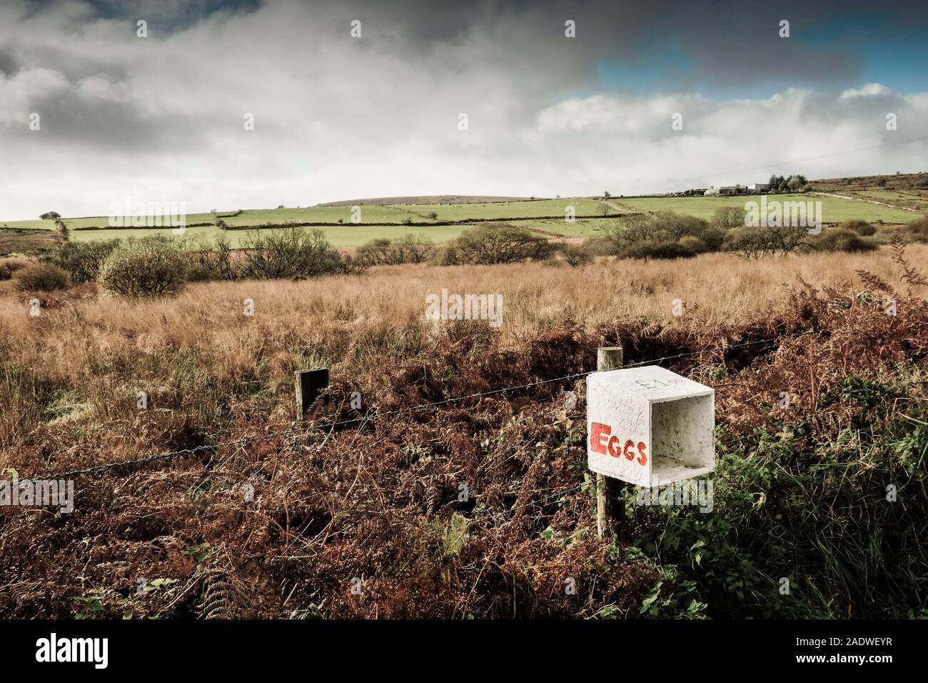An honesty box on a fence for the sale of eggs on Bodmin Moor in Cornwall. Stock Photo