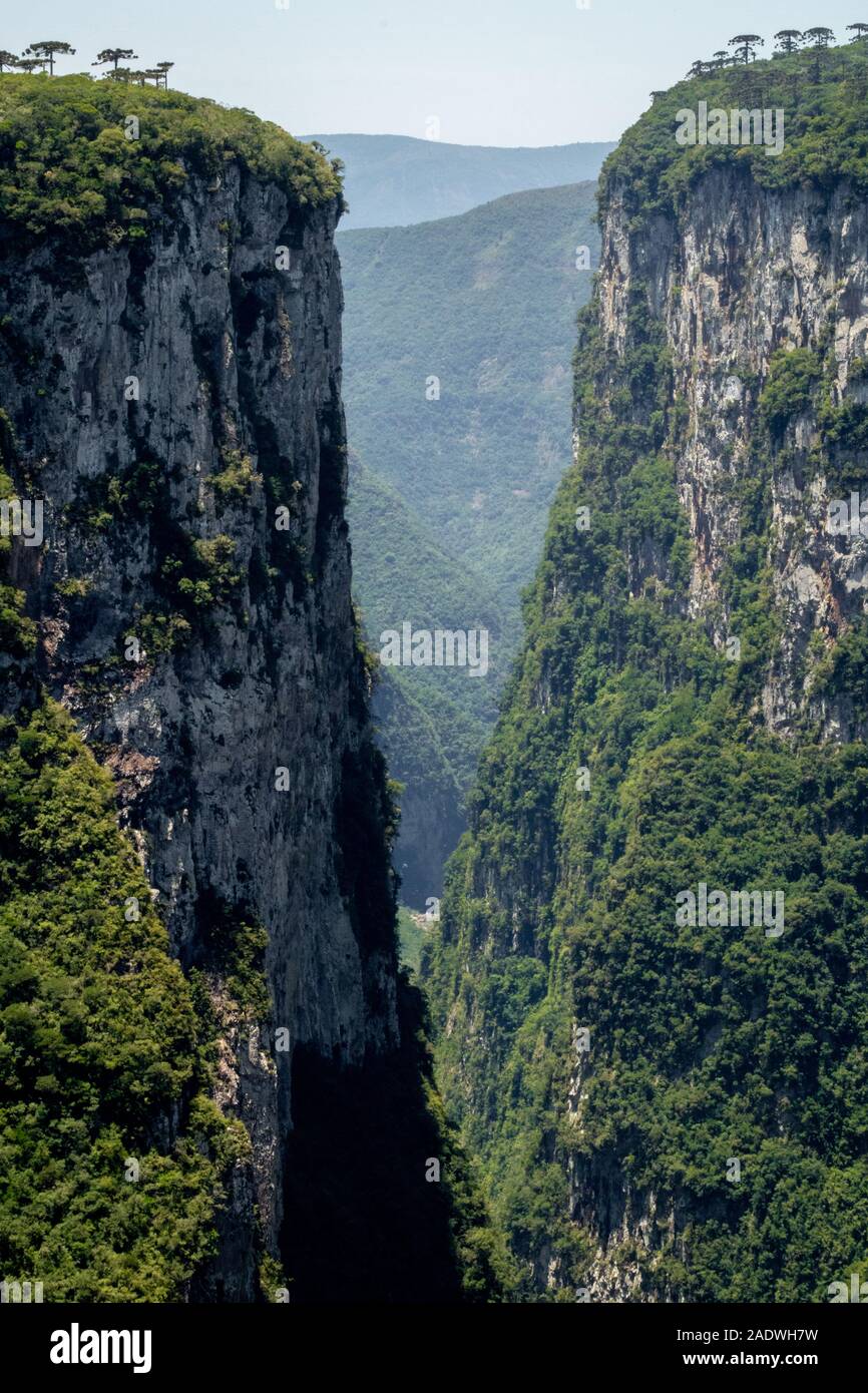 Canyons Of Aparados Da Serra National Park In Southern Brazil Stock 