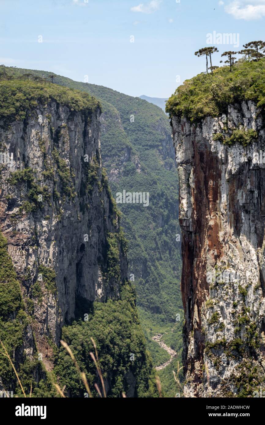 Canyons Of Aparados Da Serra National Park In Southern Brazil Stock 