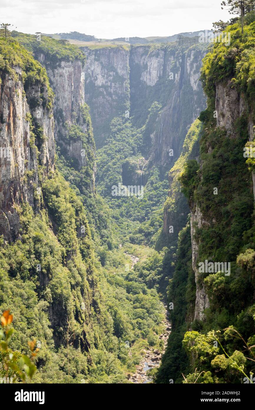 Canyons Of Aparados Da Serra National Park In Southern Brazil Stock 