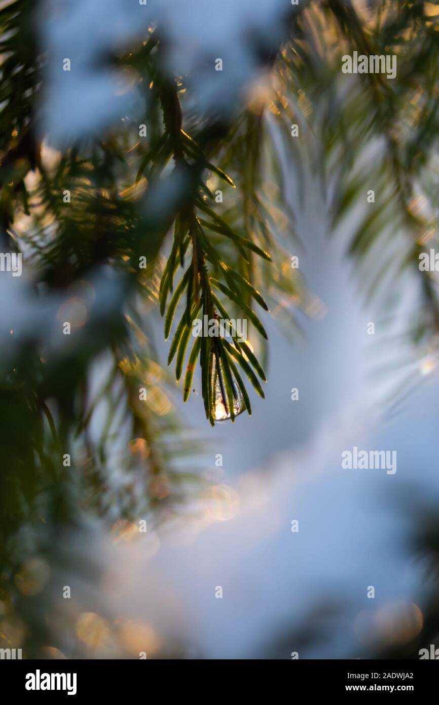 Drop snowflake frozen water hi-res stock photography and images - Alamy