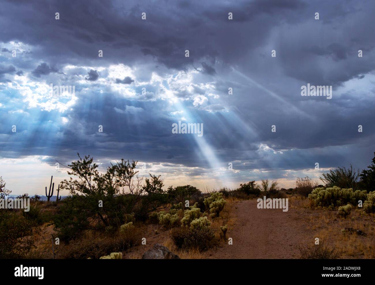Sun Beams Shining Down On Desert Hiking Trail  in North Scottsdale AZ. Stock Photo