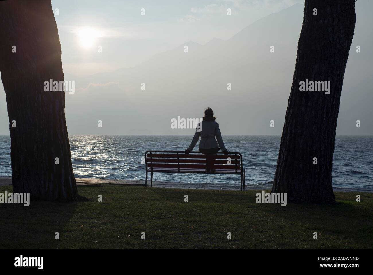 Person sitting on a bench watching the sunset hi-res stock photography and  images - Alamy
