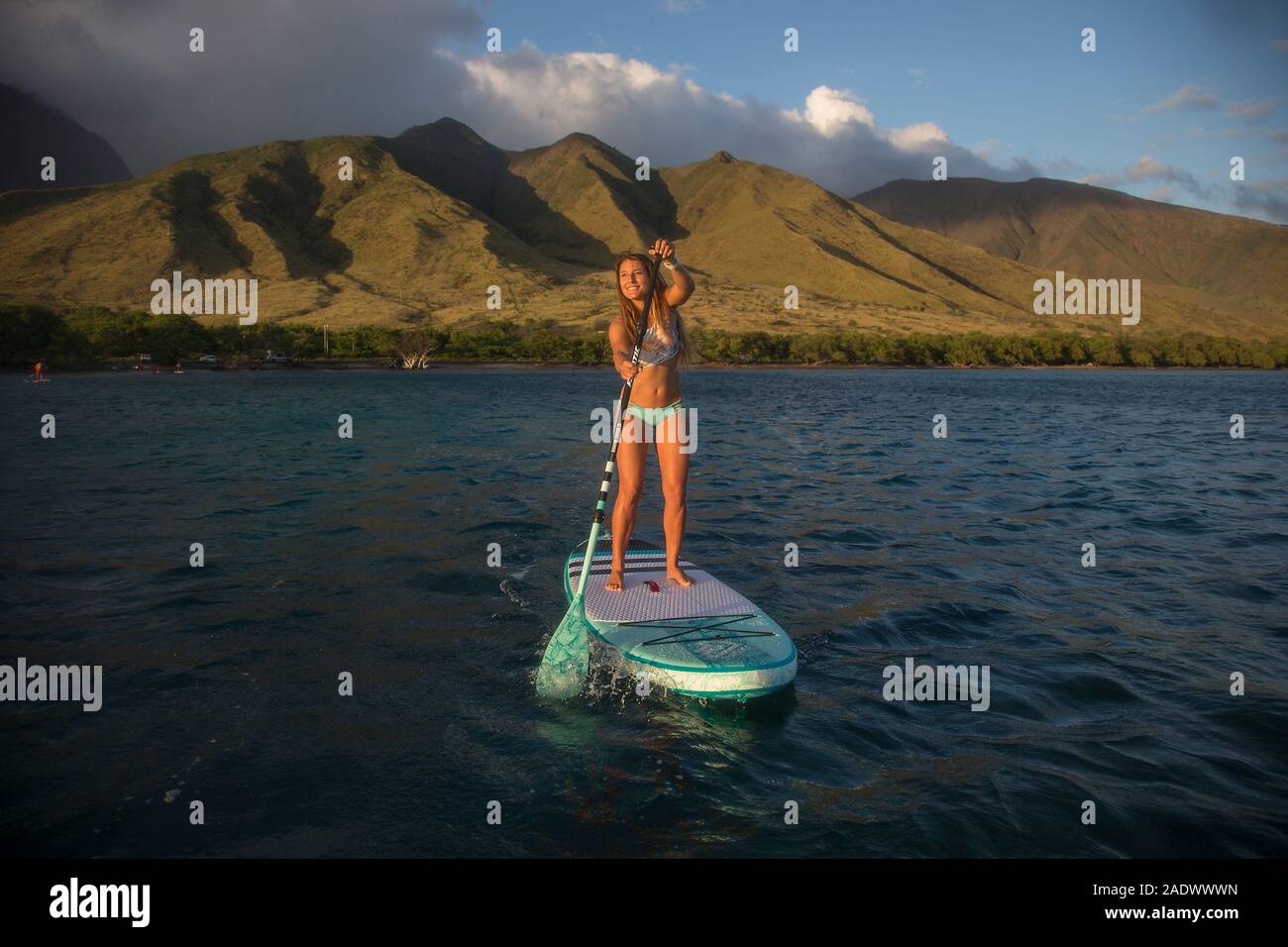 STand Up Paddle boarding Maui Hawaii Stock Photo Alamy