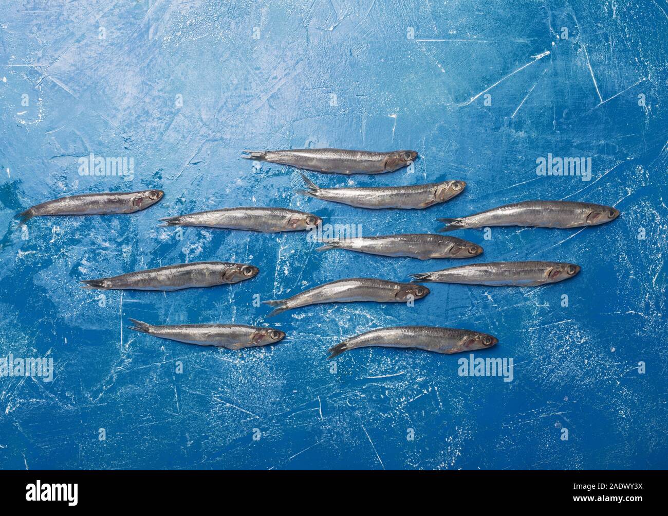 Seafood. Small sea fish, anchovies. Top view, fish pattern, classic