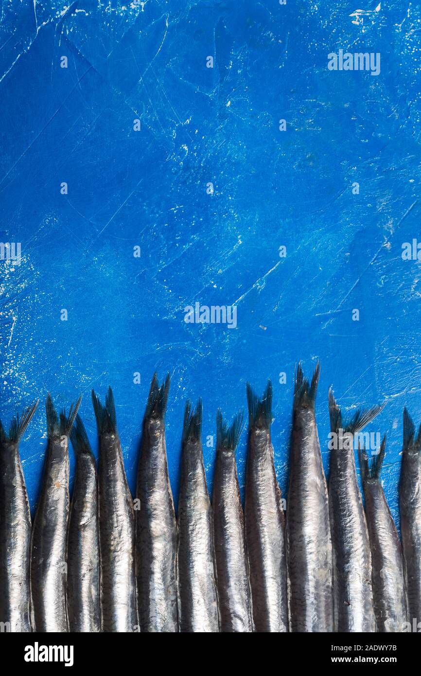 Seafood. Small sea fish, anchovies. Top view, fish pattern, classic