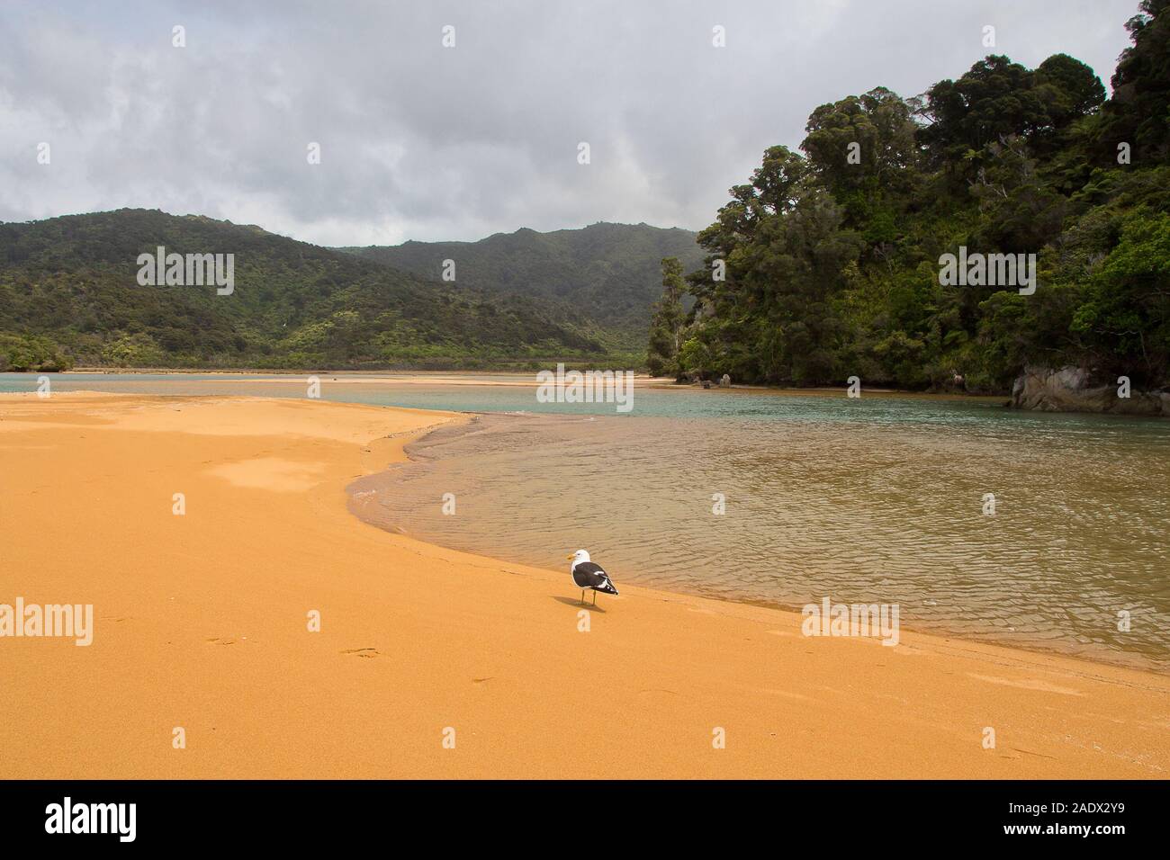 Beach and lagoon at Totaranui Stock Photo