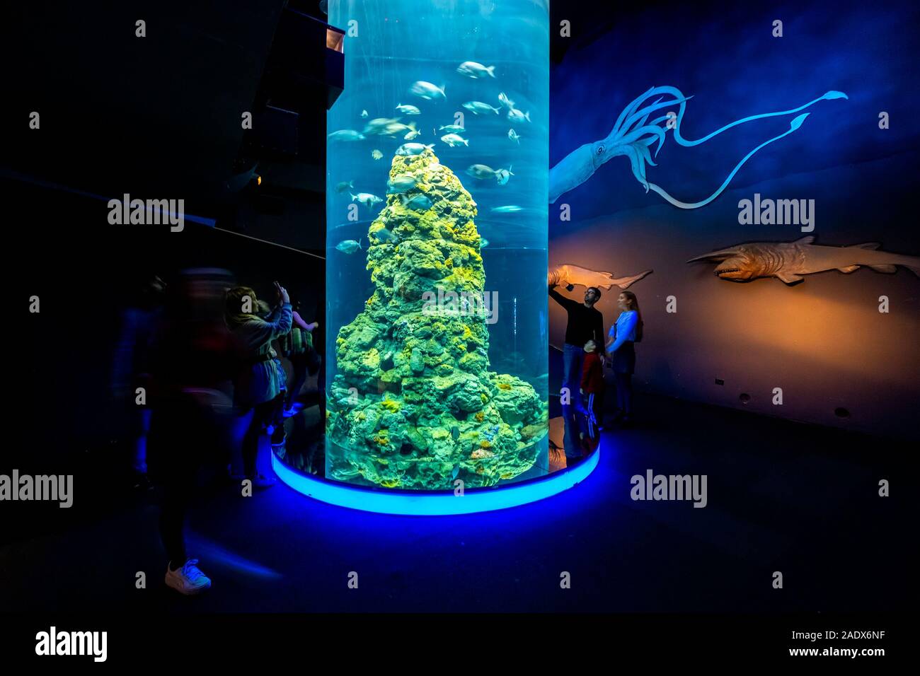 Aquarium of Genoa, Genova, Italy, Europe Stock Photo