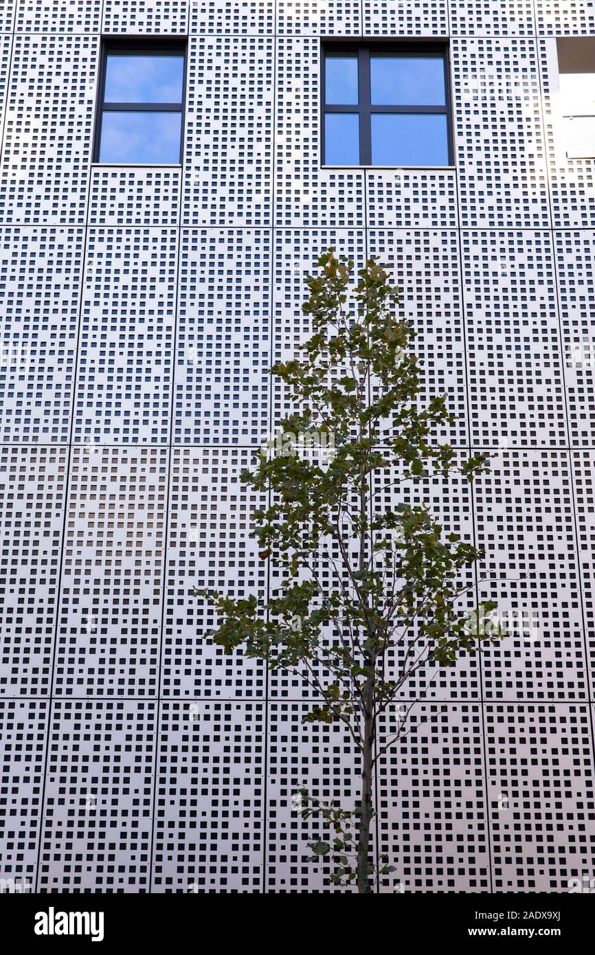 young tree in front of the facade of a multi-story car park at Magnus street, Cologne, Germany.  junger Baum vor einer Parhausfassade an der Magnusstr Stock Photo