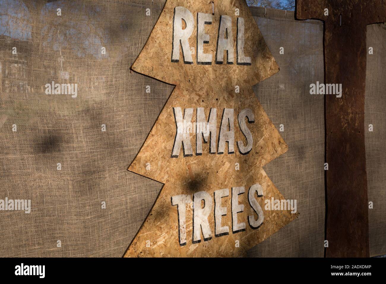 An detail of a Christmas Tree sign of a business pun called 'Tree Amigos' on Goose Green in East Dulwich, in south London, England, on 4th December 2019. Stock Photo