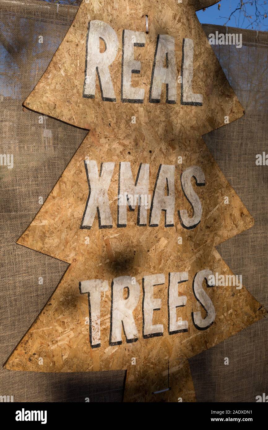 An detail of a Christmas Tree sign of a business pun called 'Tree Amigos' on Goose Green in East Dulwich, in south London, England, on 4th December 2019. Stock Photo
