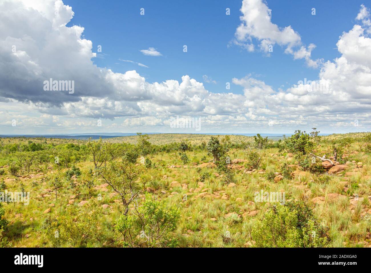 Landscape in Welgevonden Game Reserve, South Africa. Stock Photo