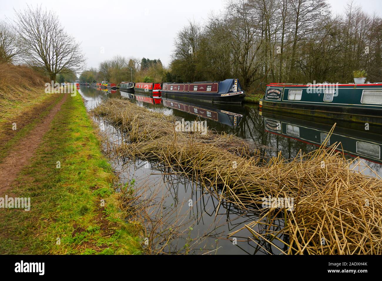 Boats or canal barges moored up for winter, Shropshire Union Canal, Market Drayton, Shropshire, England, UK Stock Photo