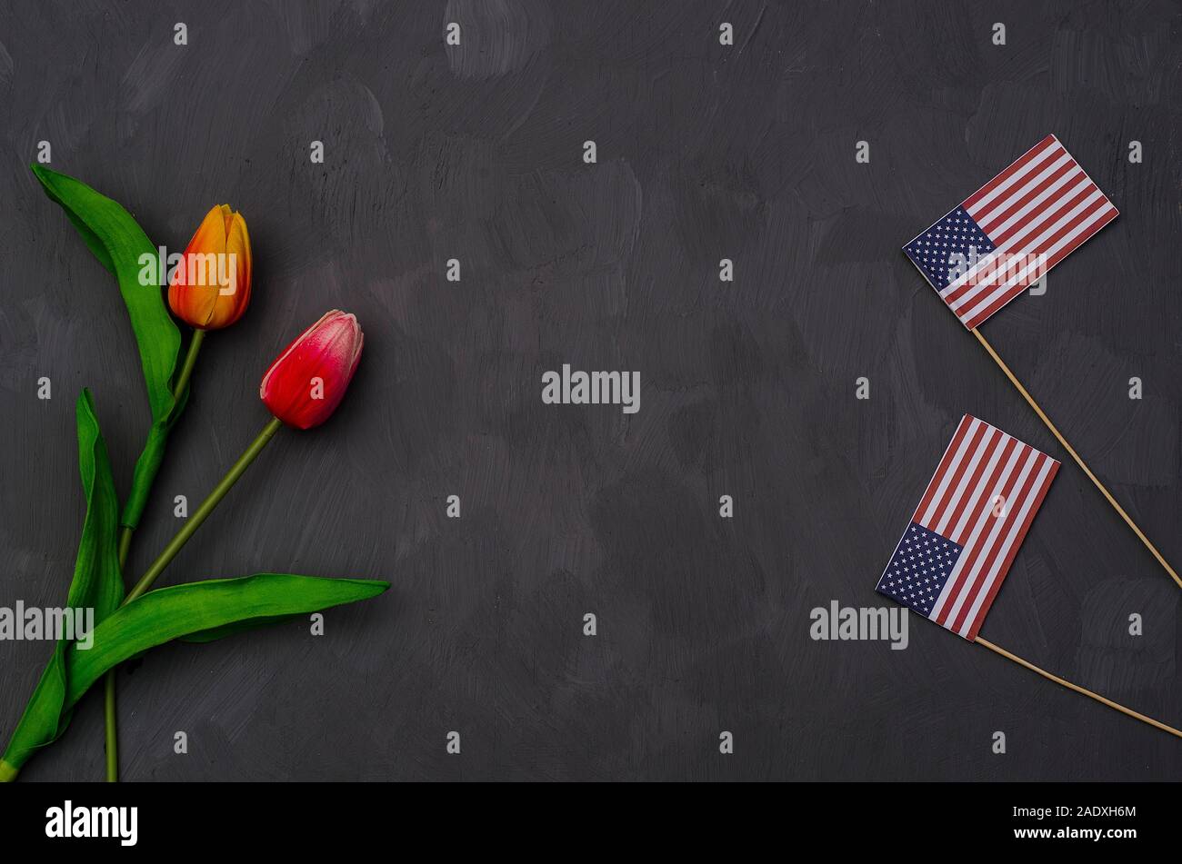 Memorial Day. Copy space on a gray background with tulips and american ...