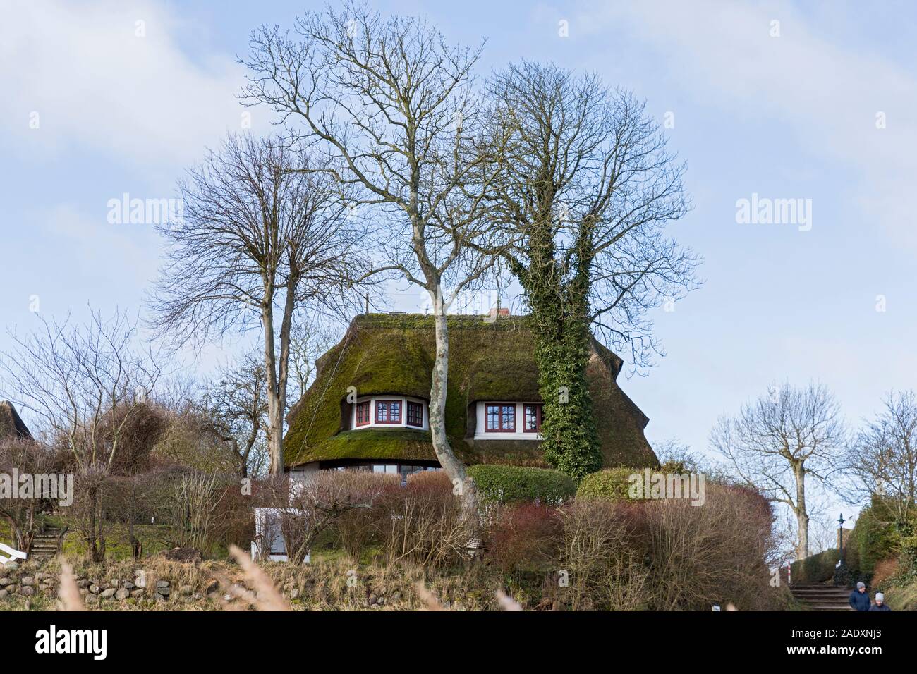 Keitum Sylt Haus Am Watt Friesenhaus Stock Photo 335575243 Alamy