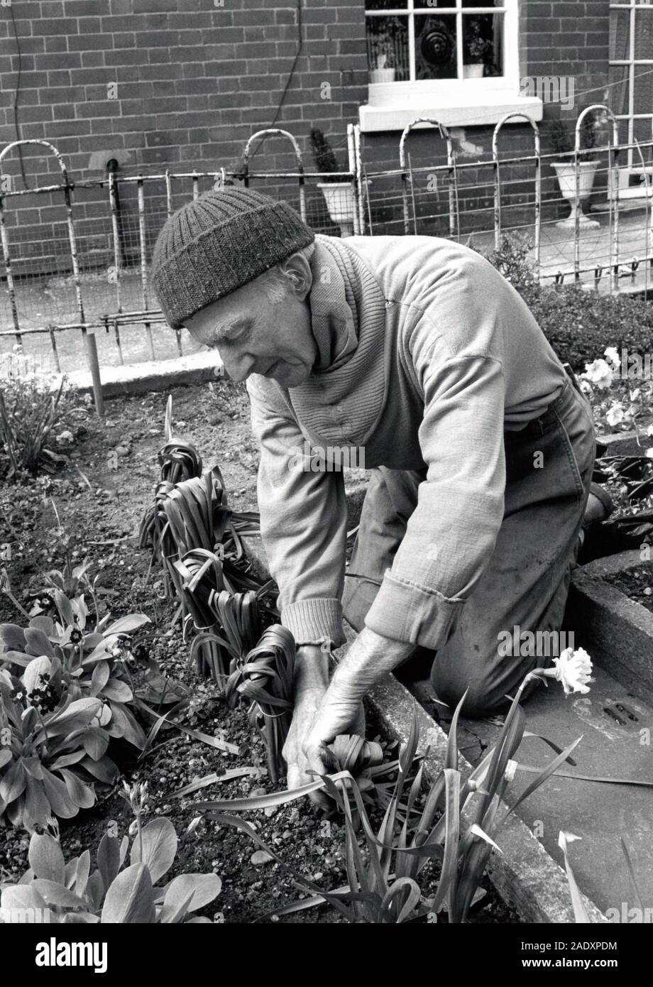 Elderly man gardening hi-res stock photography and images - Alamy