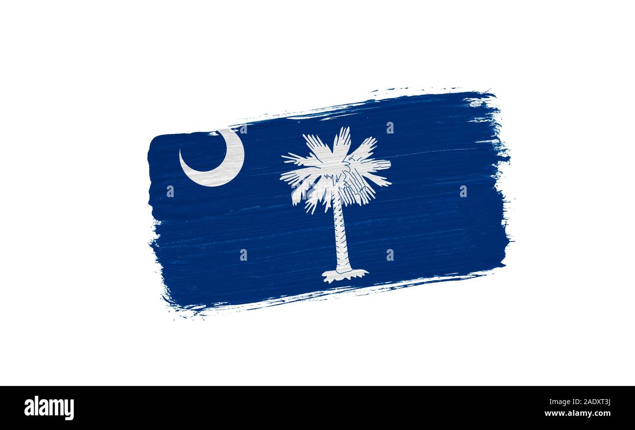 brush painted flag State of South Carolina isolated on white background ...