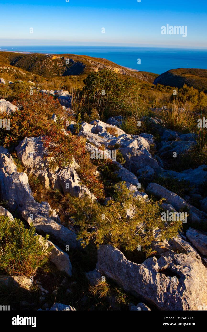 Limestone clints and grykes in the Parc Natural del Garraf, near Barcelona, Catalonia, Spain. Stock Photo