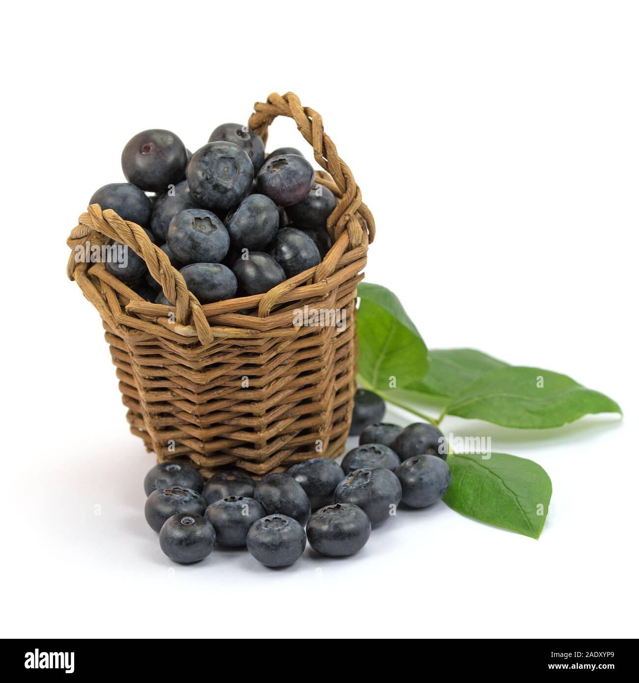 Blueberries in the basket against white background Stock Photo