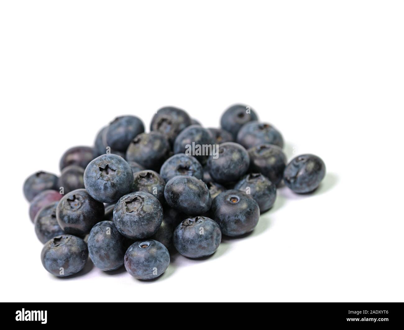 Blueberries isolated against white background Stock Photo