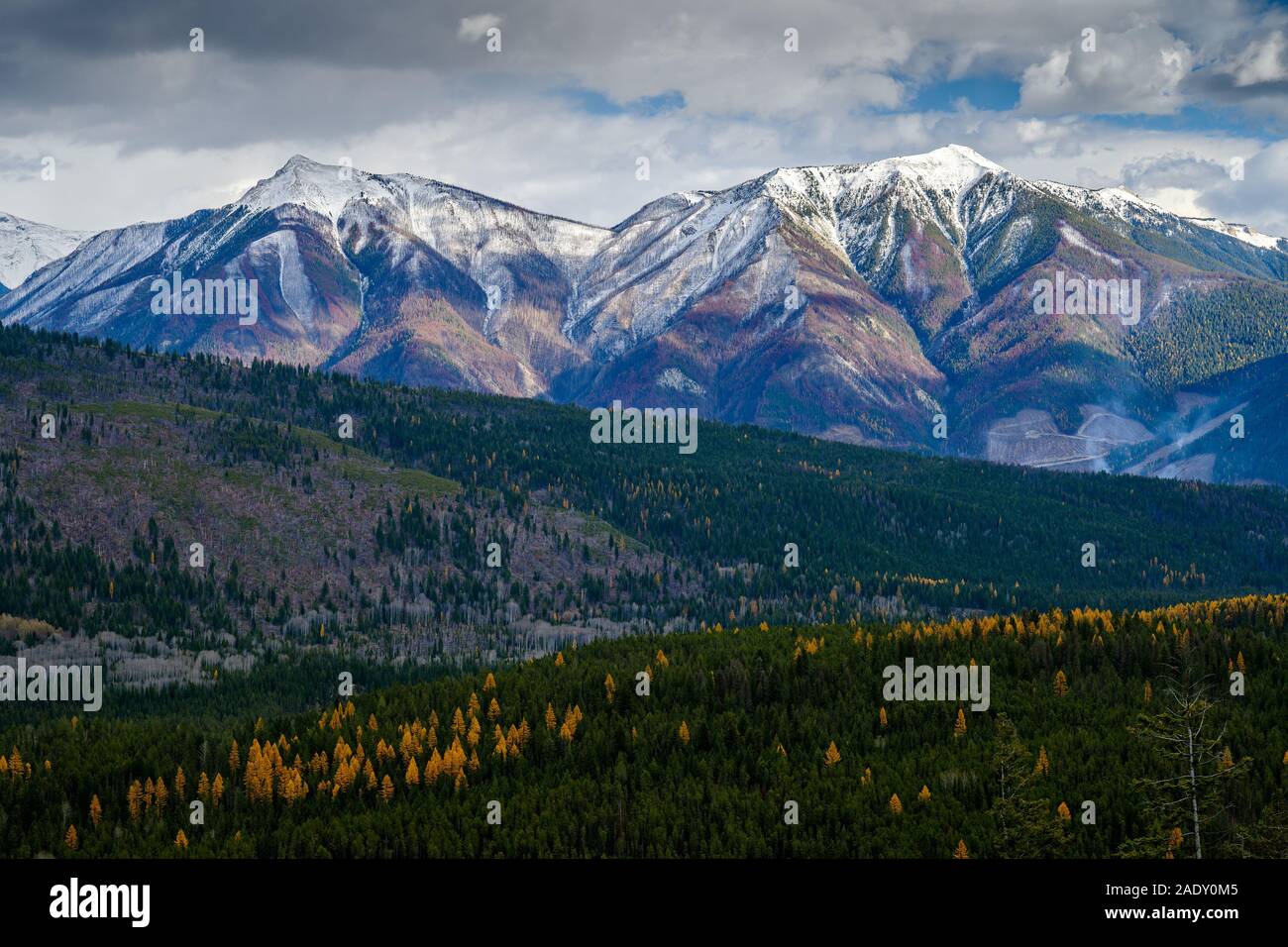 Kootenay valley hi-res stock photography and images - Alamy
