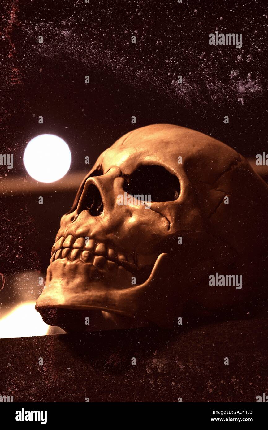 Moon Skull High Resolution Stock Photography And Images Alamy