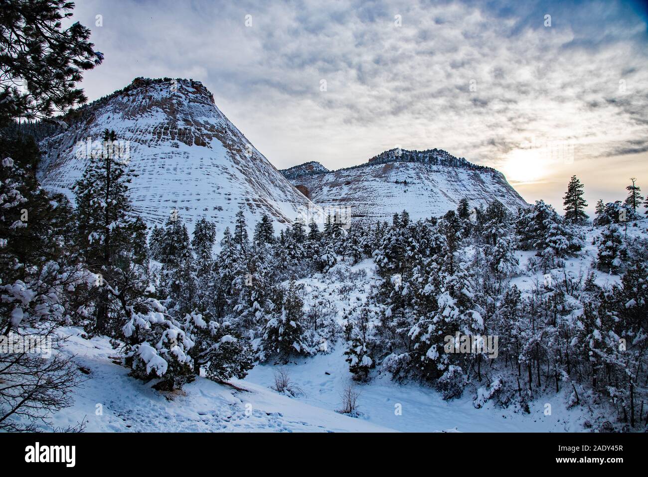 Checkerboard formation hi-res stock photography and images - Alamy