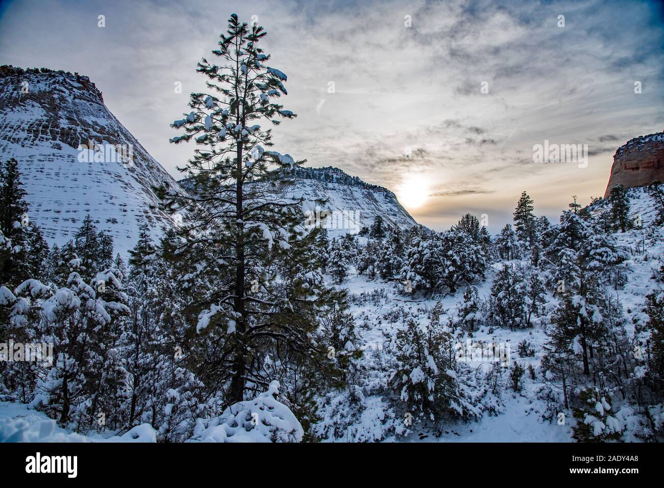 Checkerboard formation hi-res stock photography and images - Alamy